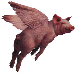 Pigs Are Flying